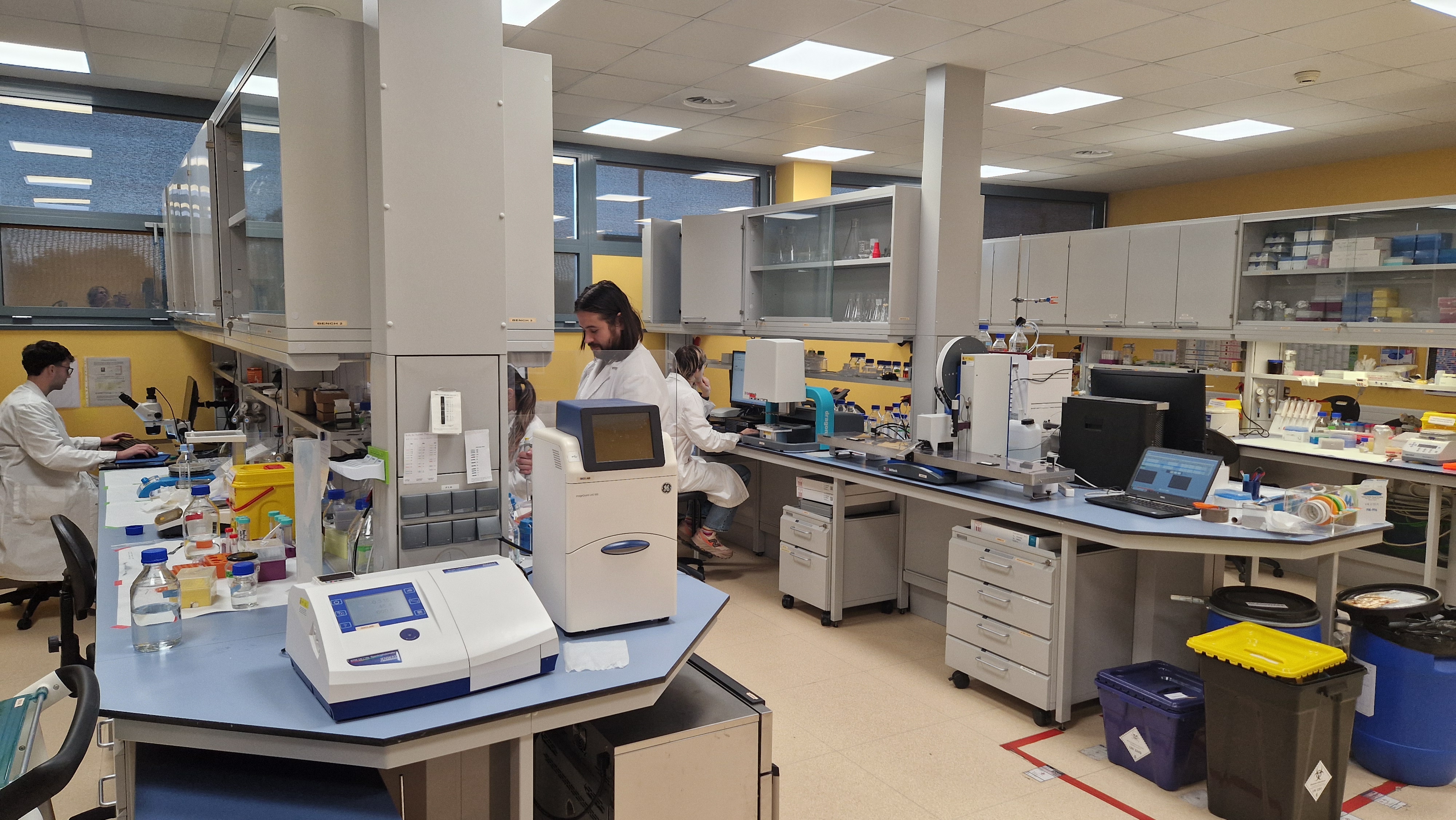 Fragment-screening and Crystallization Platform, ALBA, Barcelona, Spain