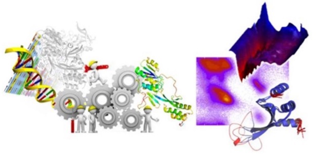 Molecular bioinformatics & Computational biophysical chemistry, FZJ, Juelich, DE