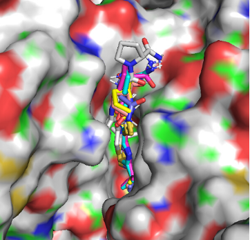  Structure-based Virtual Drug Screening, I2PC, Madrid, Spain