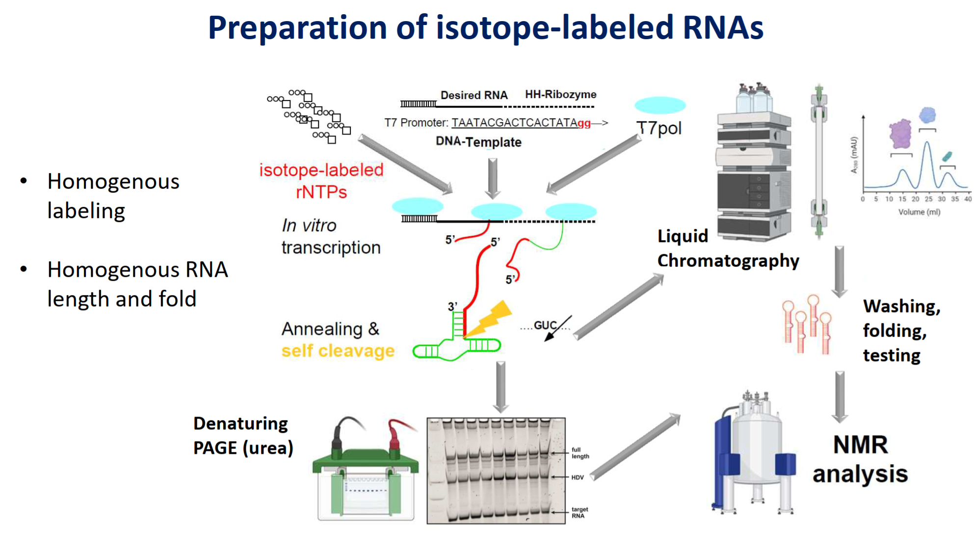 RNA sample production, BMRZ, Frankfurt, Germany